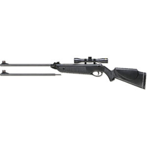 Beeman Black Cub DC Air Rifle Combo Dual Caliber