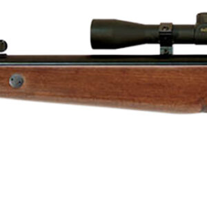 Beeman 1051 Teton Combo Spring Piston 177 Pellet Black Rec/Barrel Hardwood Stock Includes 4x32mm Scope