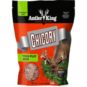 Antler King Chicory Seed 1/4 Acre