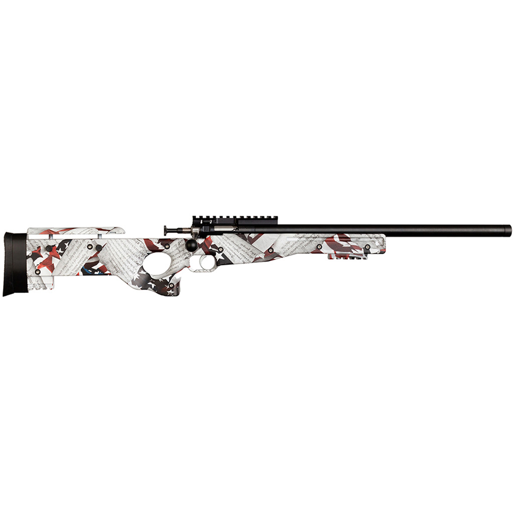 Keystone Crickett Precision Rifle 22 LR Blued/2nd Amendment Print - Davey Crickett