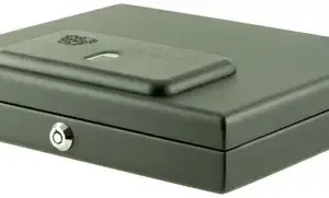 25405