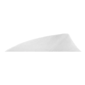 29506 1