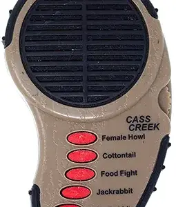 84904