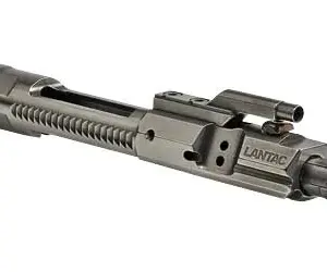 LANE BCG 1