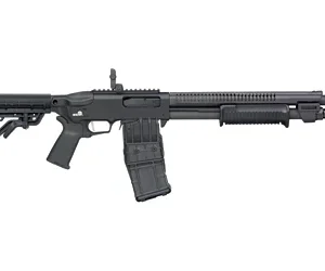 MS50213 1