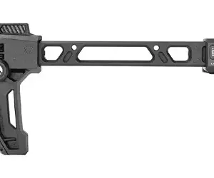 SI FSA S STOCK 1