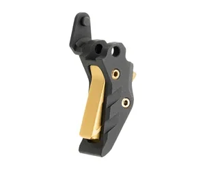TYTD P365 TRIG BLK GLD 1