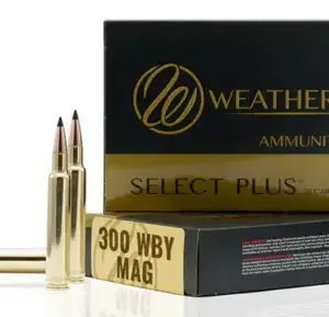 WBY20M300170HCB