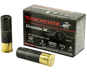 WNSTH1234 1
