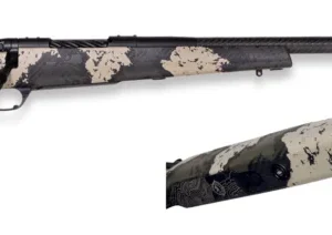 bcguide815d