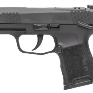 p365californialeft2808e