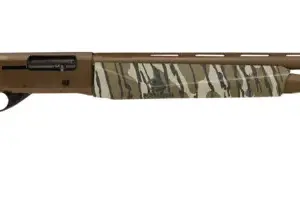 pointerftbronzebottomlandsdcb1